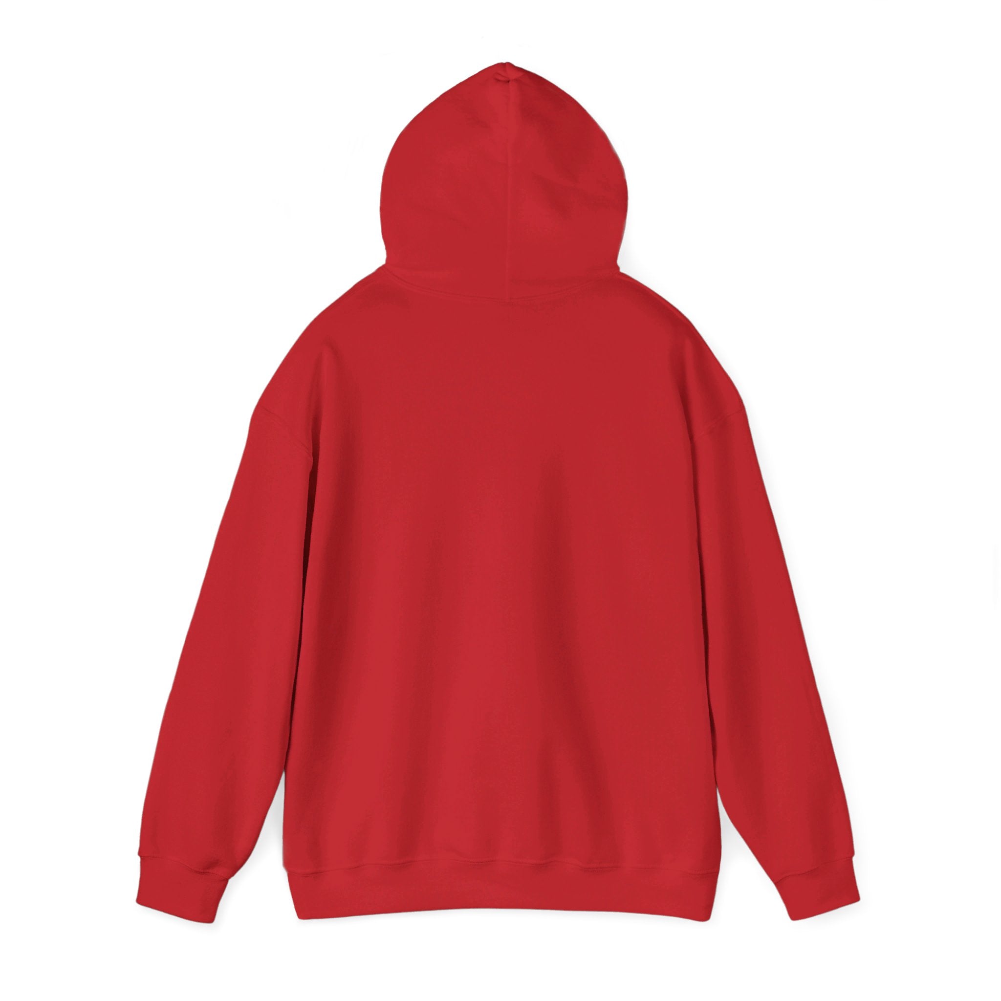 Sleep Hoodie