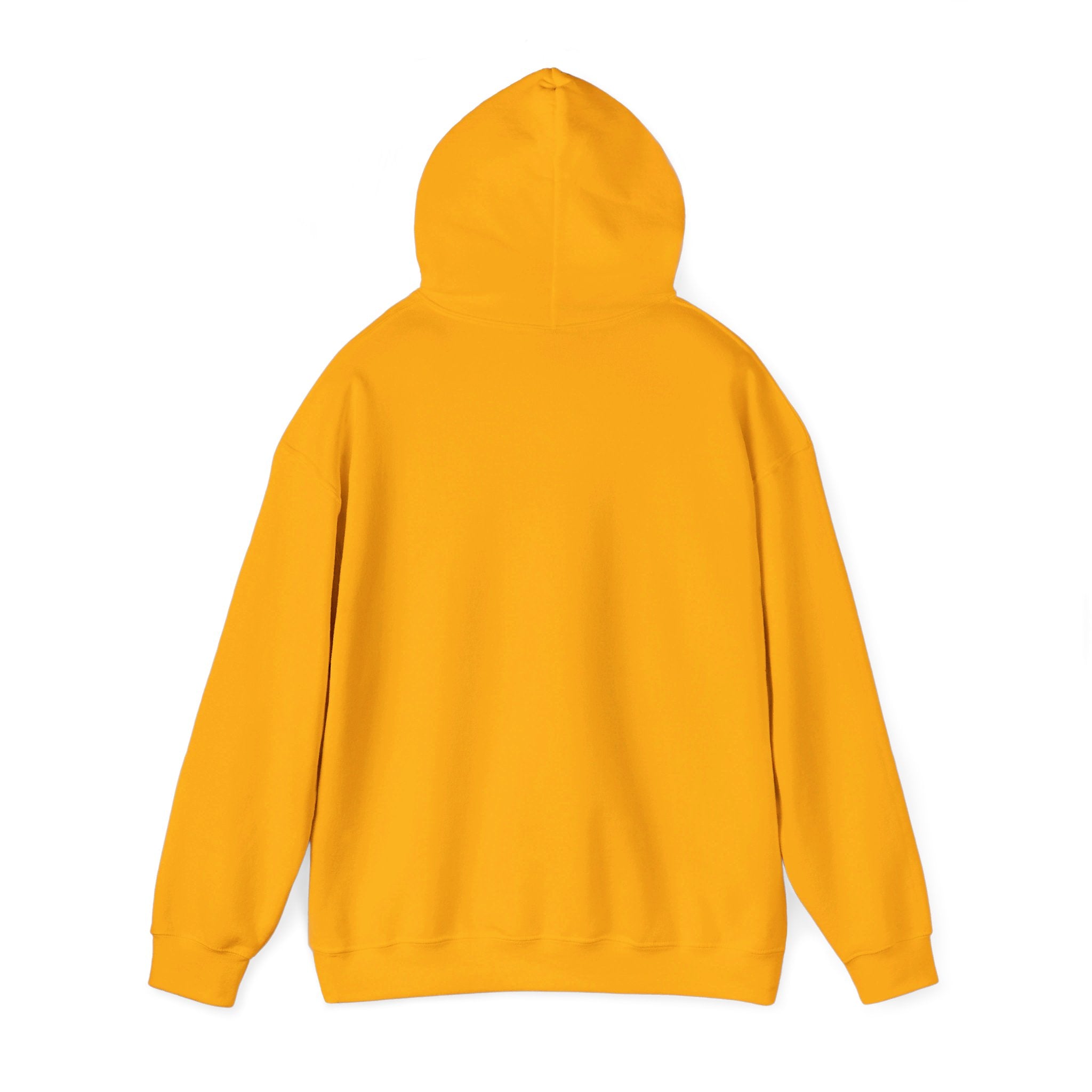 Sleep Hoodie